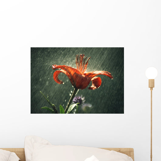 Lilly in the Rain Wall Mural