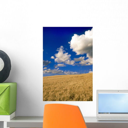 Spring Wheat Field, Tiger Hills, Manitoba Wall Mural