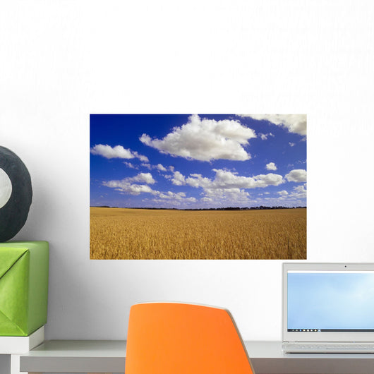 Spring Wheat Field, Tiger Hills, Manitoba Wall Mural