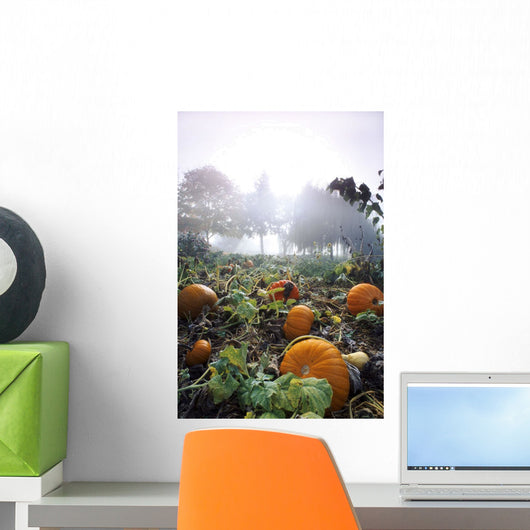 Pumpkin Patch, British Columbia Wall Mural