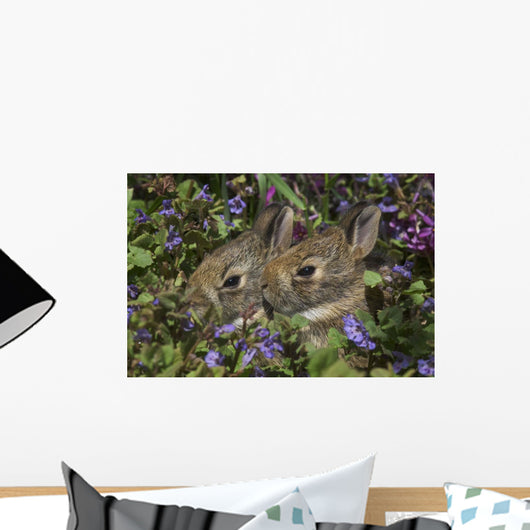 Young Eastern Cottontail Rabbits Wall Mural