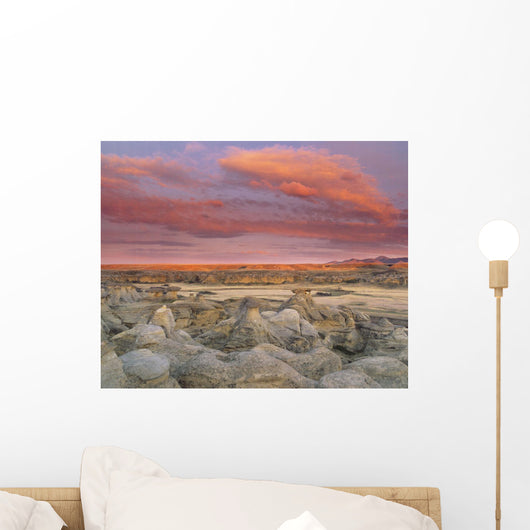 Canada Wall Mural