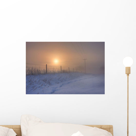 Foggy Winter Sunrise Over Barbed Wire Fence And Hydro Lines Wall Mural