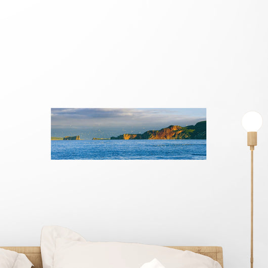 Gannets In Flight And Perce Rock At Sunset From Barachois Wall Mural
