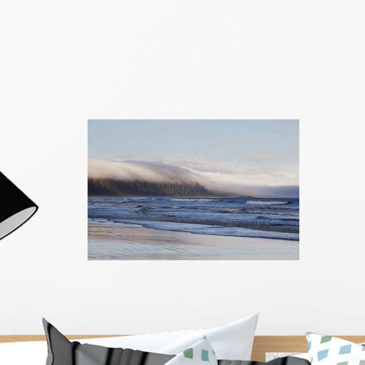 Fog Forms Over The Temperate Rainforest Along Long Beach Wall Mural