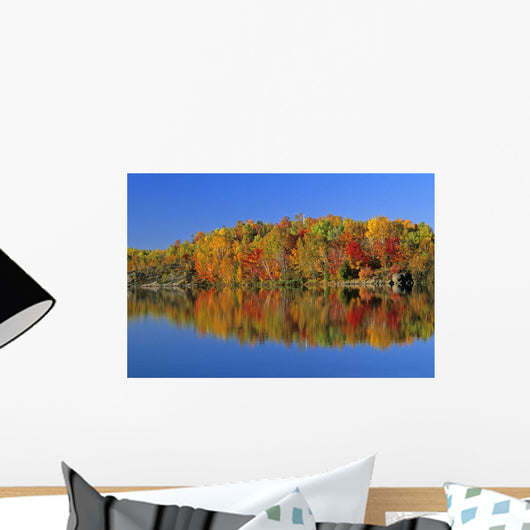 Reflected Autumn Trees In Simon Lake, Naughton, Ontario Wall Mural