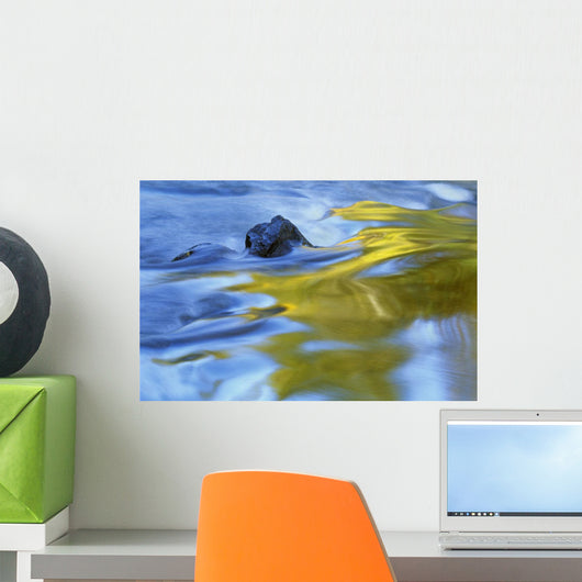 Autumn Colors Reflected In Rushing Water Wall Mural