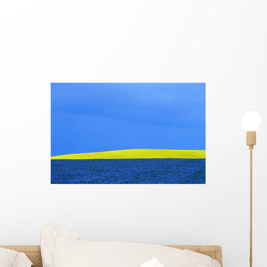 Flax And Canola Field Under A Stormy Sky, Portage La Prairie, Manitoba Wall Mural