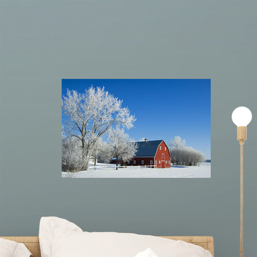 Hoarfrost And Red Barn, Grande Pointe, Manitoba Wall Mural