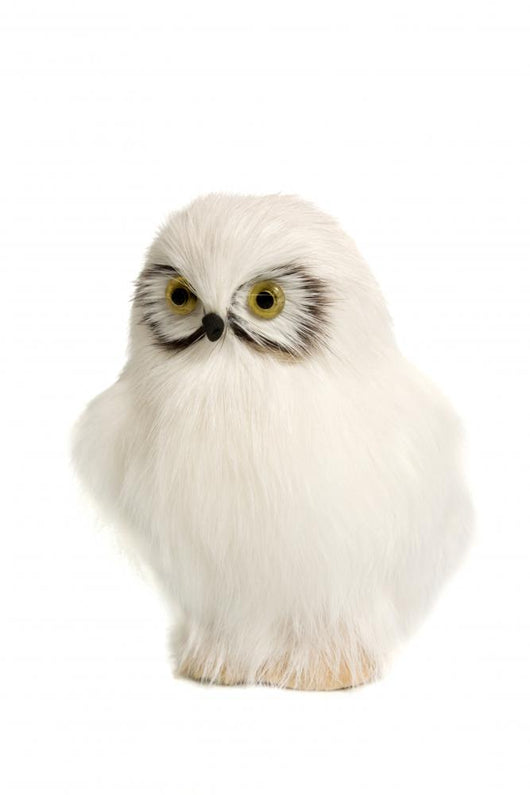Toy Owl