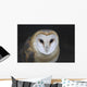 European Barn Owl Wall Mural