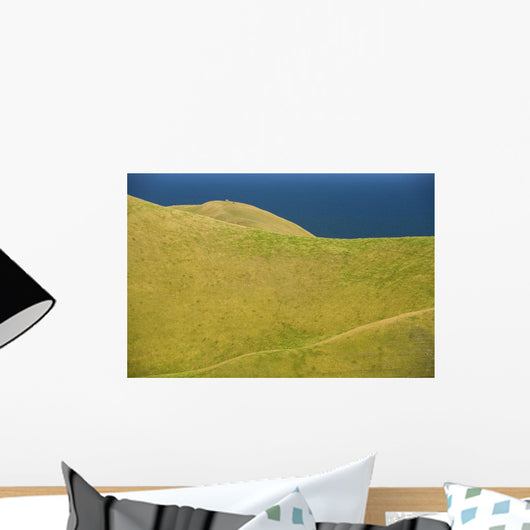 Cows Grazing On Hills, Entry Island, Magdalen Islands, Quebec Wall Mural