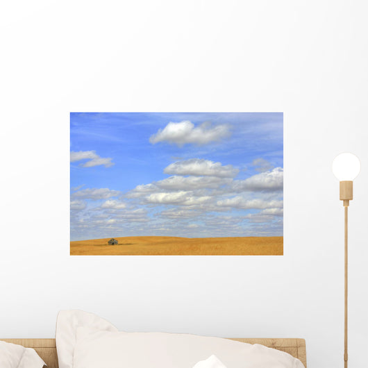 Abandoned Farmhouse In Wheat Field, Near Val Marie, Saskatchewan Wall Mural