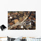 Rooftops In The City Of Strasbourg, Alsace Region, France Wall Mural