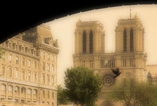 Notre Dame Cathedral Viewed From The Seine River, Paris, France Wall Mural