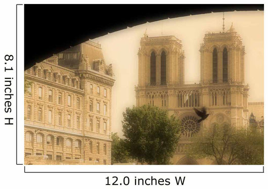 Notre Dame Cathedral Viewed From The Seine River, Paris, France Wall Mural