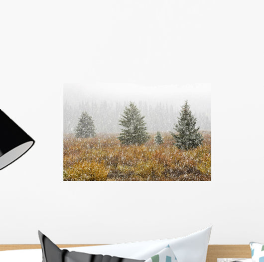 Snowfall On Meadow, Banff National Park, Alberta Wall Mural