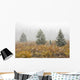 Snowfall On Meadow, Banff National Park, Alberta Wall Mural