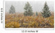 Snowfall On Meadow, Banff National Park, Alberta Wall Mural