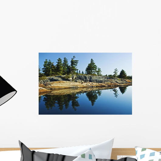 Tree's Reflection In Water, Georgian Bay, Ont Wall Mural