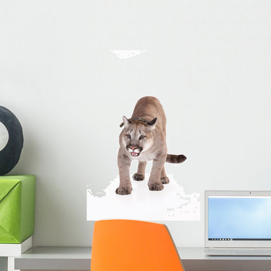 Puma Wall Mural