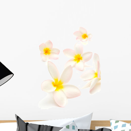 Frangipani Flowers