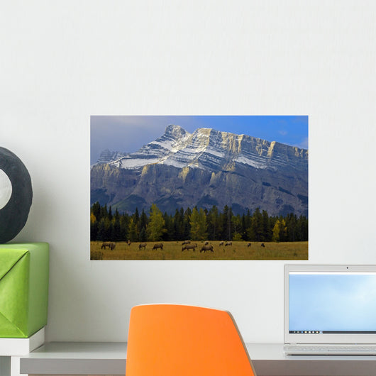 Elk In Meadow On Minnewanka Road With Mt Rundle In Background Wall Mural