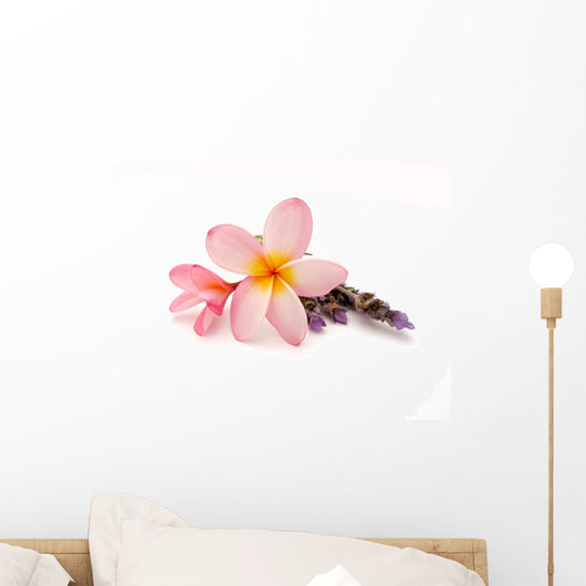 Flower Decals - Frangipani with Lavender Wall Decal