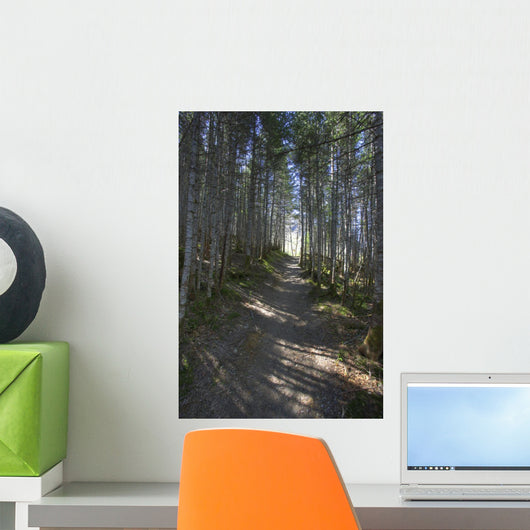 Forest Trail, Gros Morne National Park, Newfoundland Wall Mural