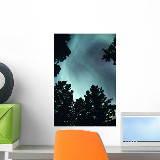 View Of Trees And Northern Lights Wall Mural