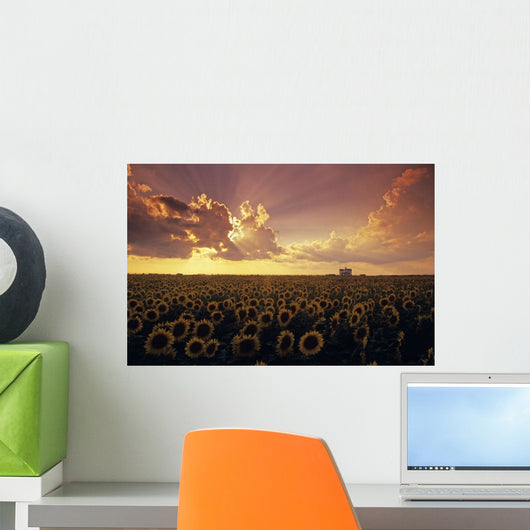 Sunflower Field With Grain Elevator And Dramatic Clouds Wall Mural
