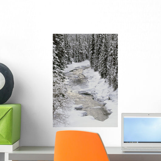North Saskatchewan River, Banff National Park, Alberta, Canada Wall Mural
