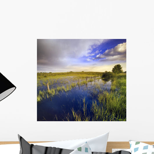 Pastureland After Rain Storm, Near Cochrane, Alberta, Canada Wall Mural