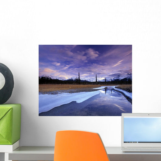 North Saskatchewan River At The Kootenay Plains, Alberta, Canada Wall Mural