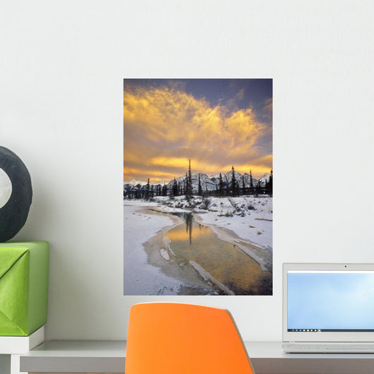North Saskatchewan River, Kootenay Plains, Alberta, Canada Wall Mural