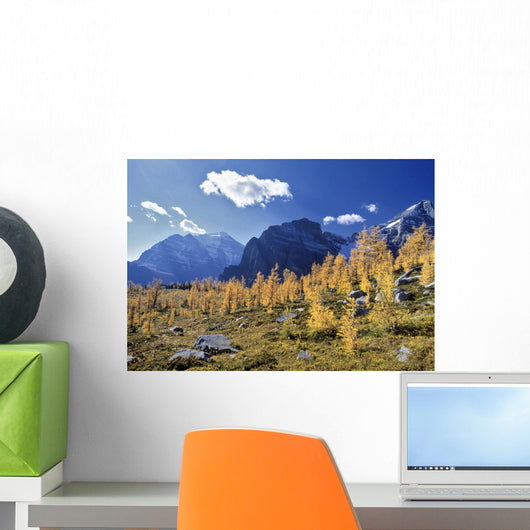 Larch Trees From The Saddleback Trail Wall Mural