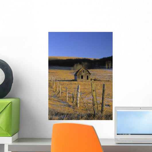Old Farm, Near Cochrane, Alberta Wall Mural