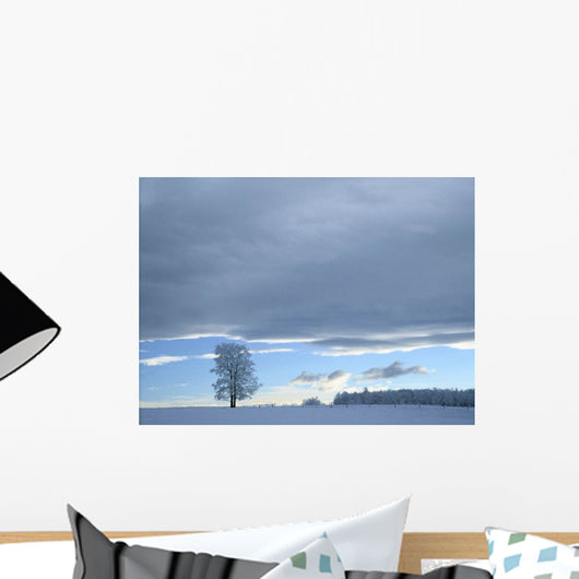 Aspen Tree And Winter Clouds, Near Cochrane, Alberta, Canada Wall Mural