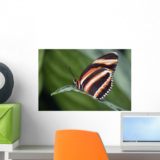 Butterfly, Niagara Botanical Gardens, Niagara Falls, Ontario Wall Mural