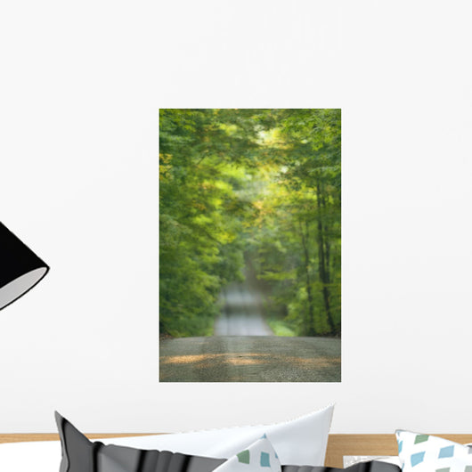 Gravel Road, Niagara Region, Pelham, Ontario Wall Mural