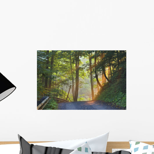 Gravel Road At Sunrise, Pelham, Ontario Wall Mural