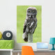 Great Grey Owl, Water Valley, Alberta, Canada Wall Mural