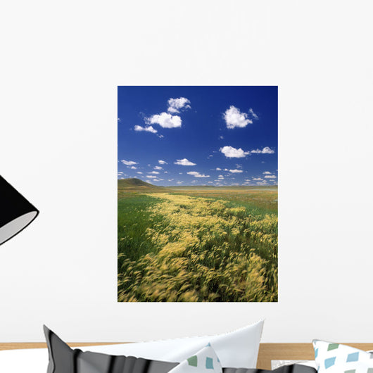 Fox Tail Barley, Grasslands National Park, Saskatchewan, Canada Wall Mural