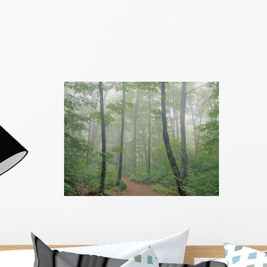 Hardwood Forest, Mont Tremblant Park, Quebec, Canada Wall Mural