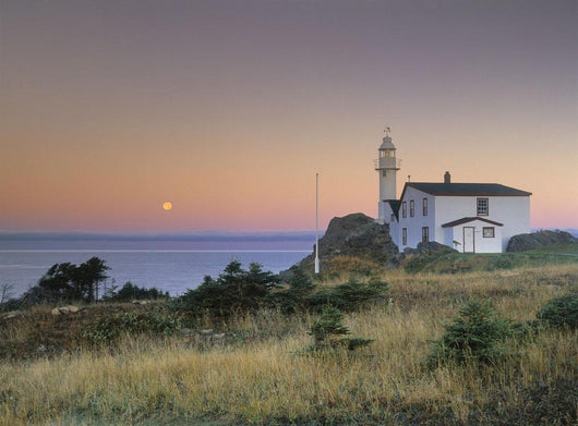 Lobster Cove Head, Newfoundland, Canada Wall Mural