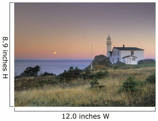 Lobster Cove Head, Newfoundland, Canada Wall Mural