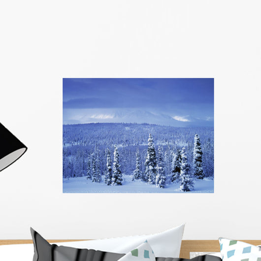 Kluane National Park, Winter, Yukon Territory, Canada Wall Mural