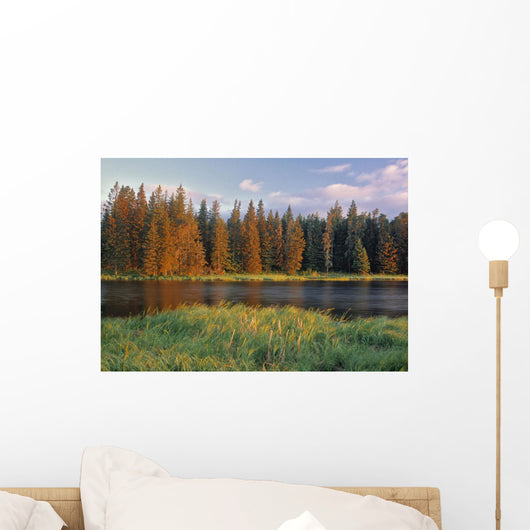Whirlpool Lake, Riding Mountain National Park, Manitoba, Canada Wall Mural