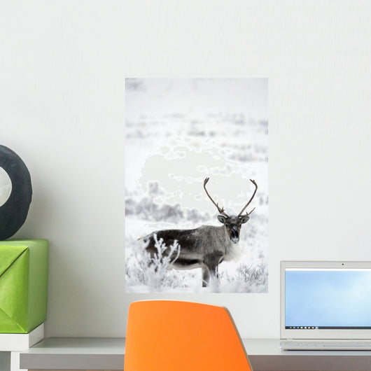 Caribou Dempster Highway, Yukon Wall Mural