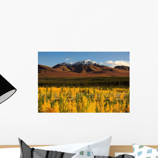 Autumn In Duke Creek, Kluane Wildlife Sanctuary, Yukon, Nwt Wall Mural